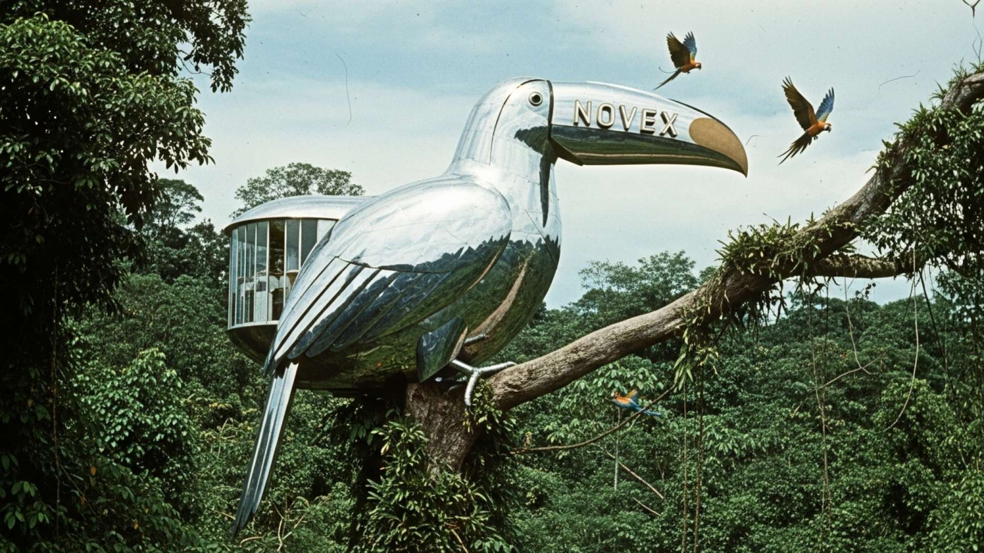 Novex celebra cinco años de crecimiento y expansión en Costa Rica