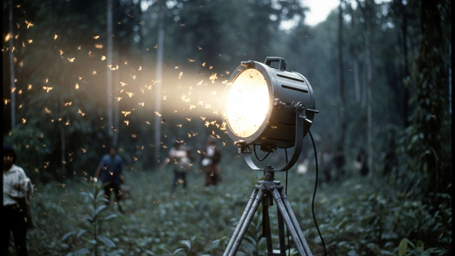 La crisis migratoria en el sur pone al descubierto los abusos