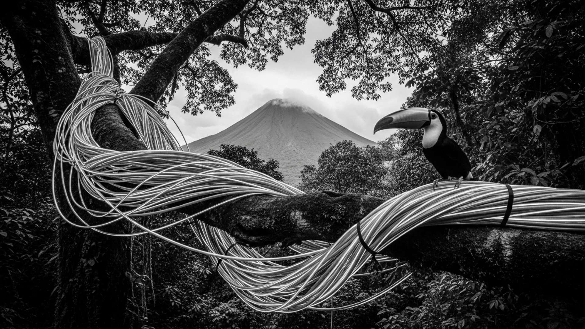 Costa Rica refuerza su postura sobre la ciberseguridad 5G