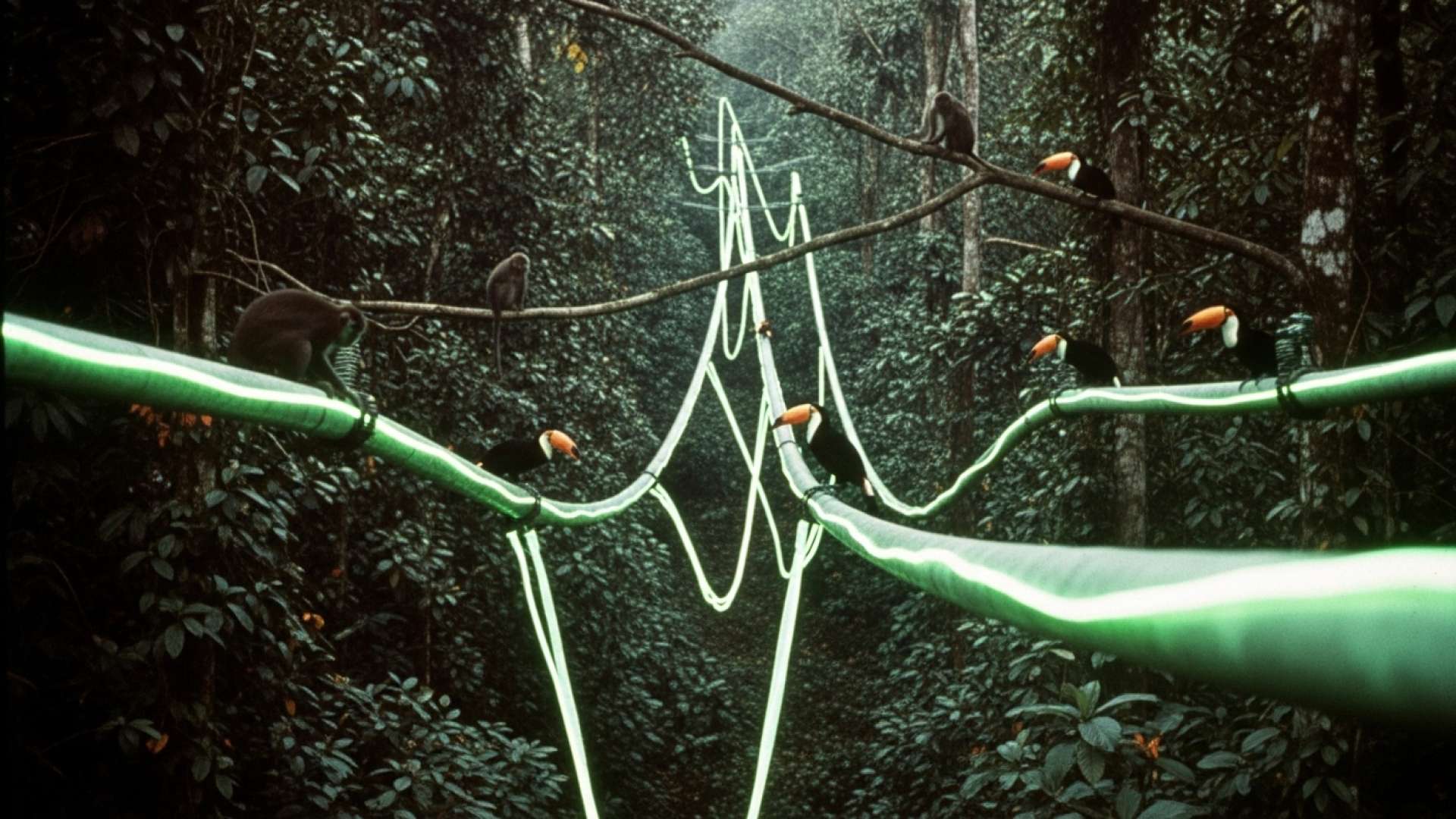 El ICE logra estabilidad financiera y avances tecnológicos