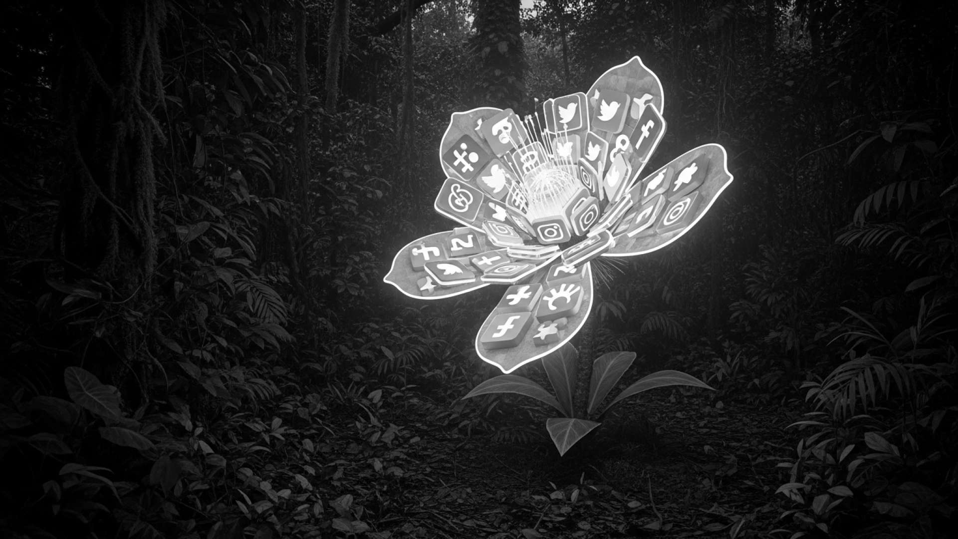 De la redacción a la boda Erika Rojas redefine los medios de comunicación nupciales